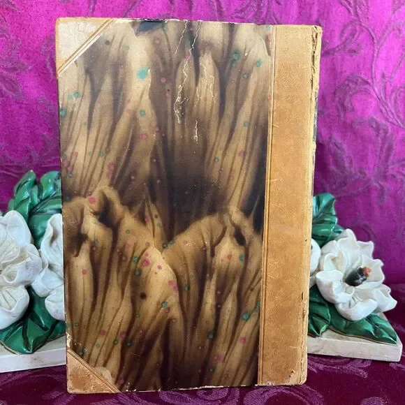 1930 Vintage Danish Book: Charles Dickens Strenge Tider (Hard Times) - Picture 10 of 10